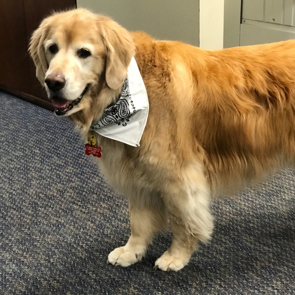 Meet your Posher, Jax